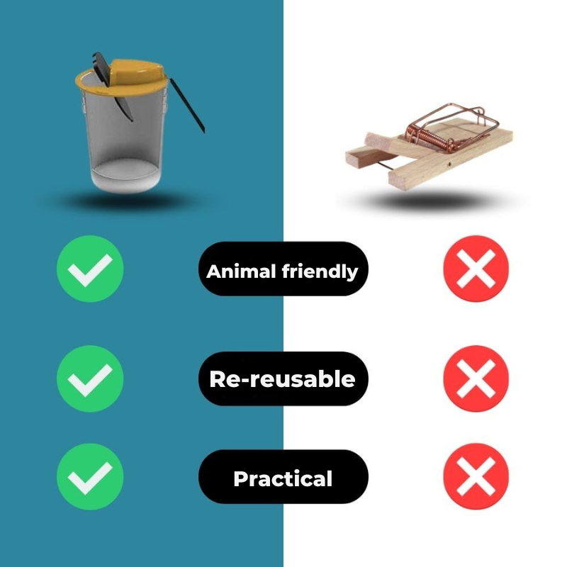 Rodentfælde uden grusomhed 