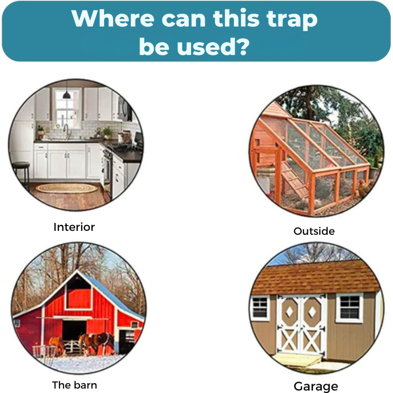 Rodentfælde uden grusomhed 