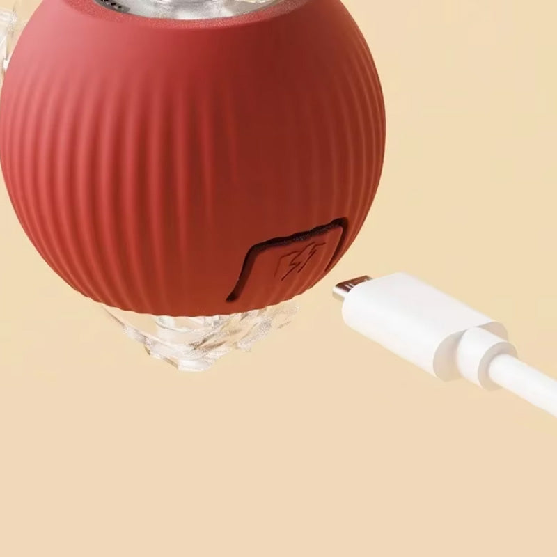 Skákací hračka pro aktivní a zvědavé kočky 