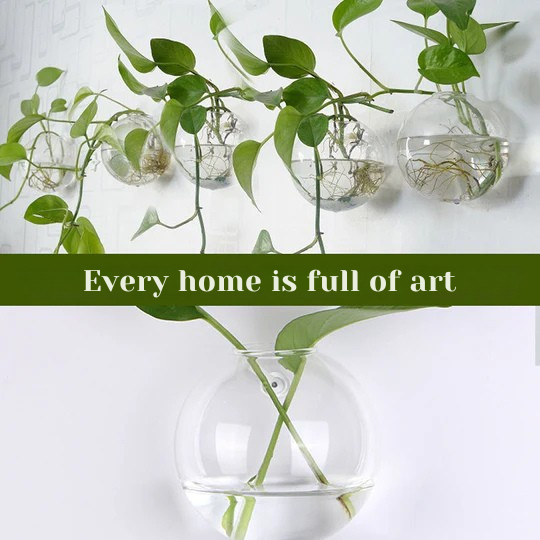 Wyeksponuj swoje rośliny na ścianach, bez wiercenia 