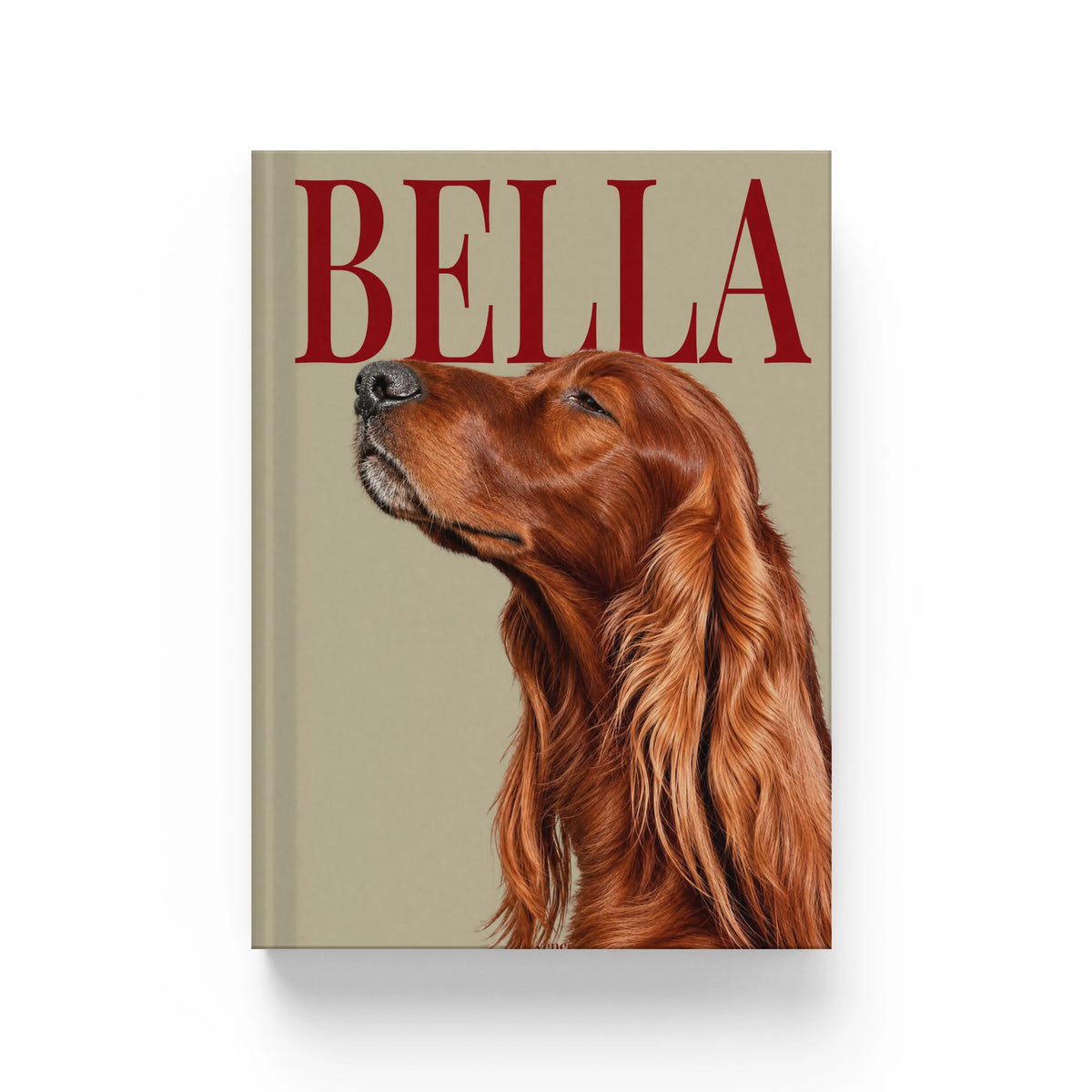 Album Photo de Voyage — photo 213
