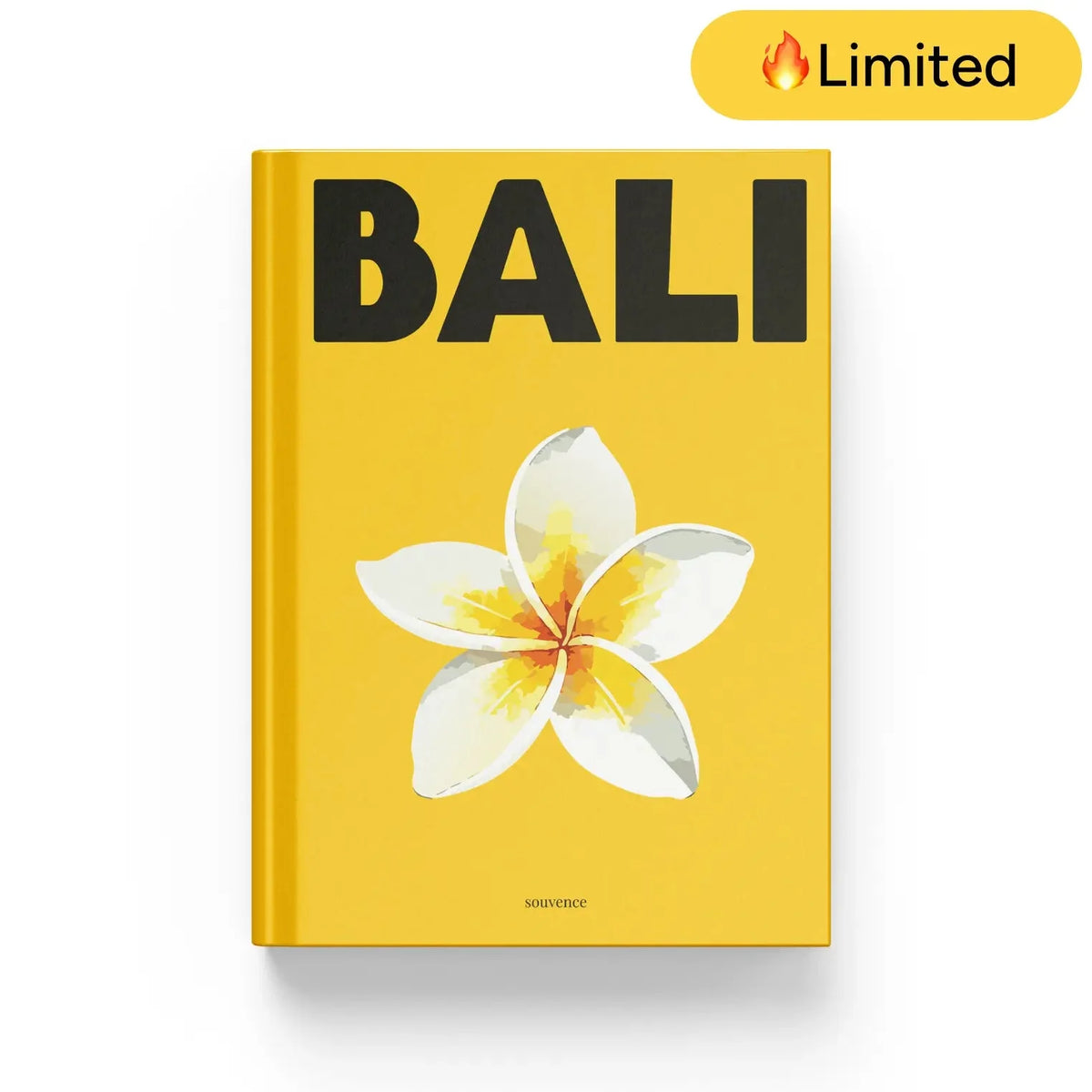 Album Photo de Voyage — Bali, photo 89
